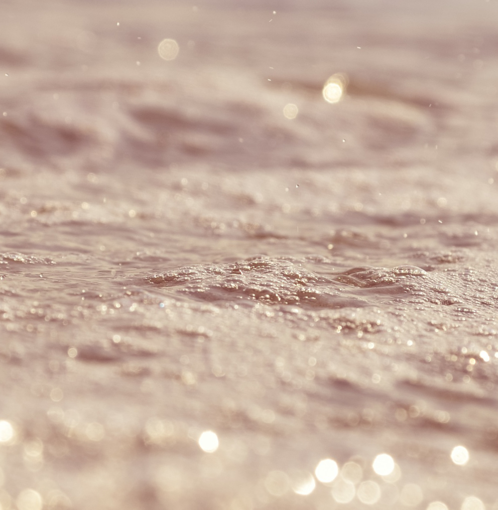 blog4